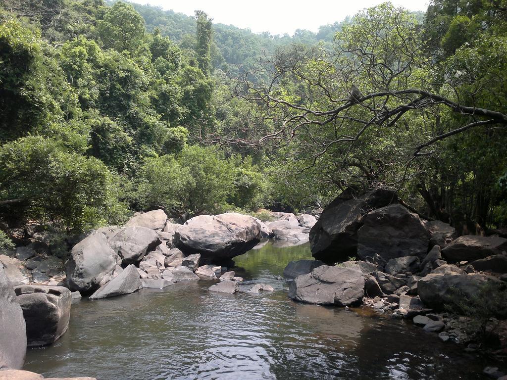 Dudhsagar Plantation Villa Cormonem Eksteriør bilde