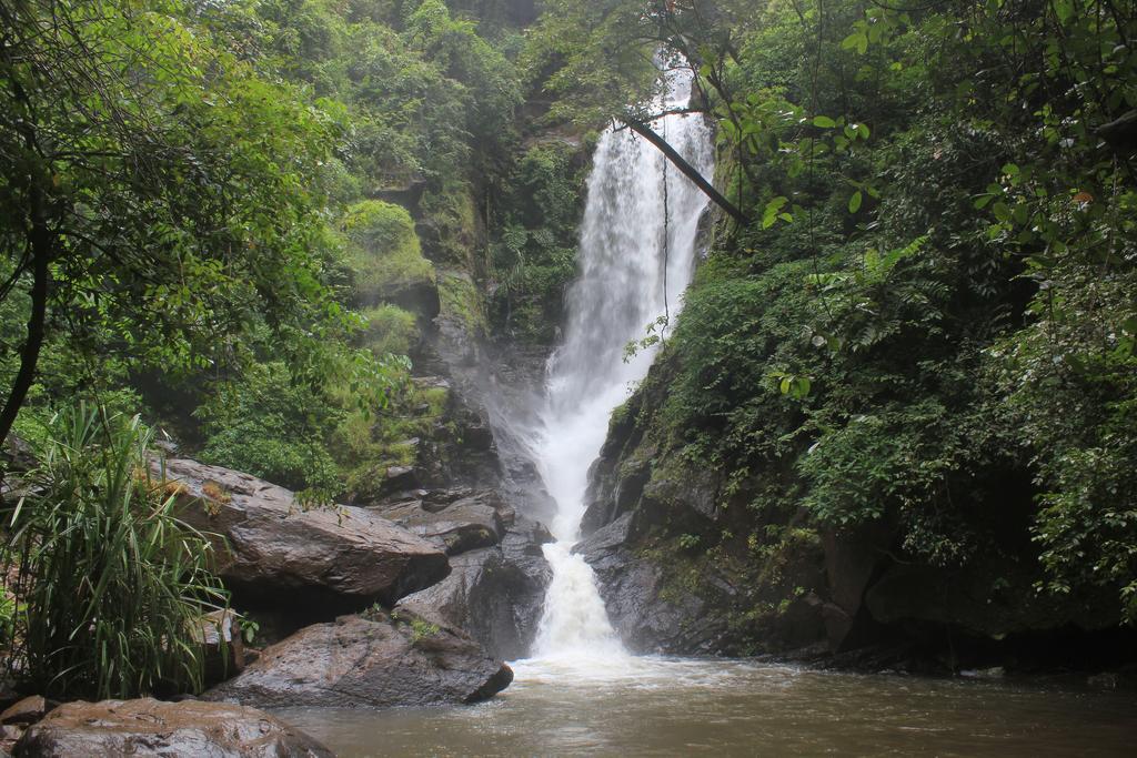 Dudhsagar Plantation Villa Cormonem Eksteriør bilde